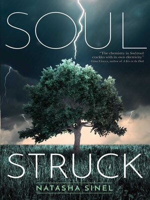 cover image of Soulstruck